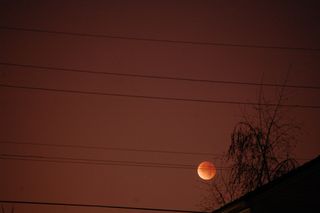 The Dec. 10 total lunar eclipse as seen from Oakland, Calif. by David Prosper D