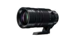 Best Micro Four Thirds lenses: Panasonic DG Vario-Elmar 100-400mm f4-6.3 Asph Power OIS