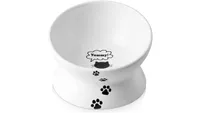 Best anti-vomit bowl for cats