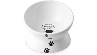 Best anti-vomit bowl for cats