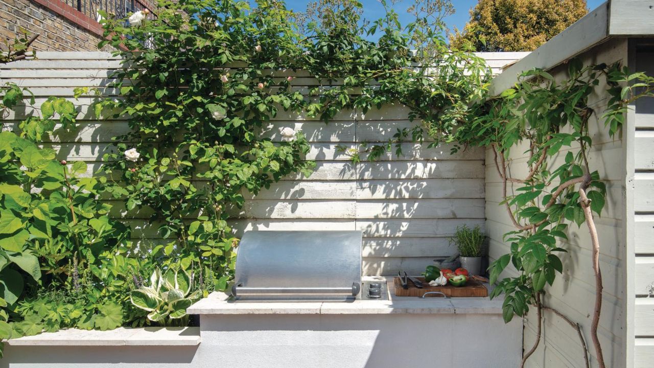 Wall beside raised beds with a stainless steel barbeque inset, roses and fig growing up sheds. Susan and Henry Parker&#039;s garden at their four bedroom Victorian house in Fulham, London.