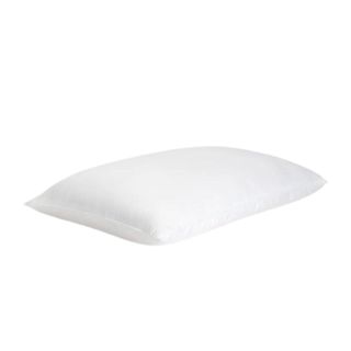 Cozy Earth Silk pillow 