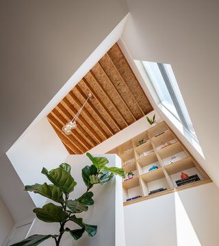 Mouse House by Shin Shin architecture interior looking up
