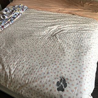 room with bed having white and orange dotted colour bedsheet