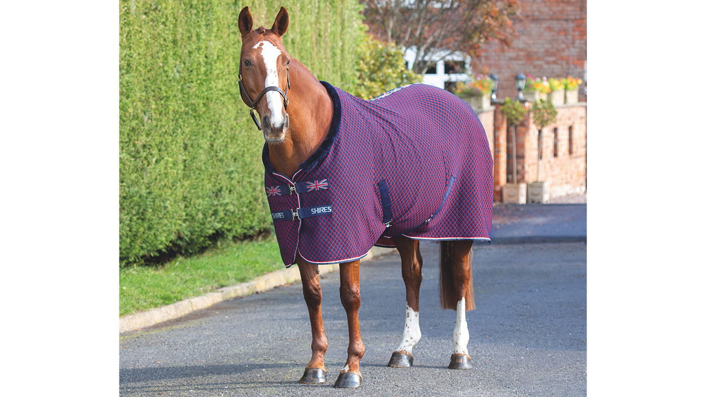 Shires Tempest Original Team Shires show rug for horses