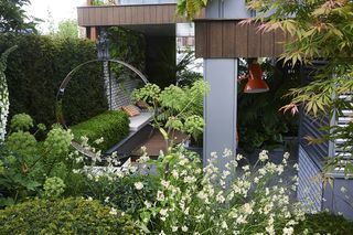 Chelsea Flower Show pictures