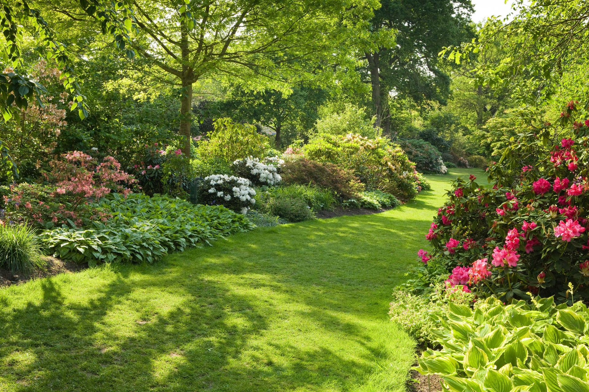 Spring garden jobs: 20 simple tasks to get your plot summer-ready ...