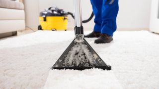 A cylinder carpet cleaner being used to clean the carpet