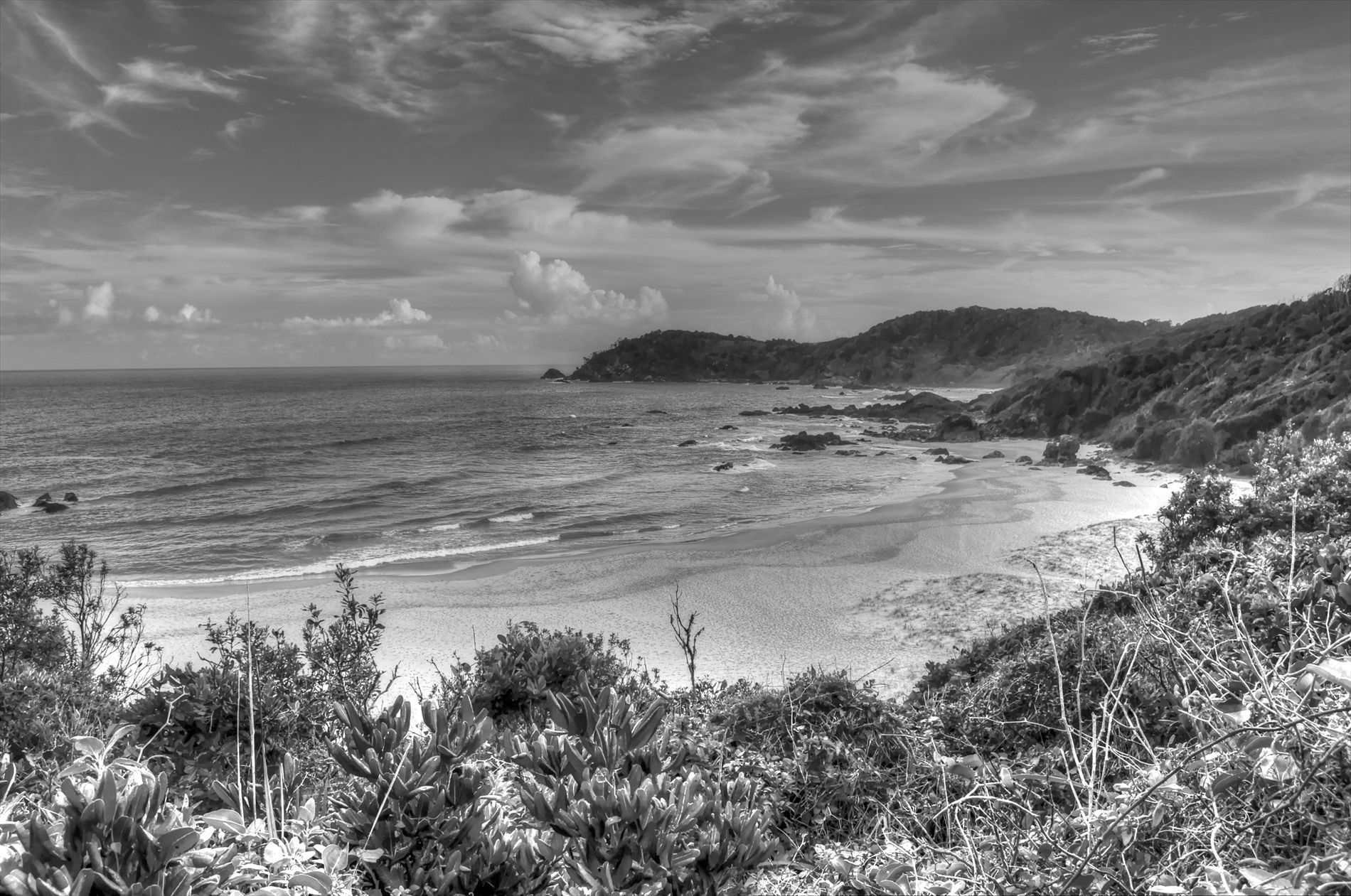 GuruShots - Monochrome Moments Jan 26