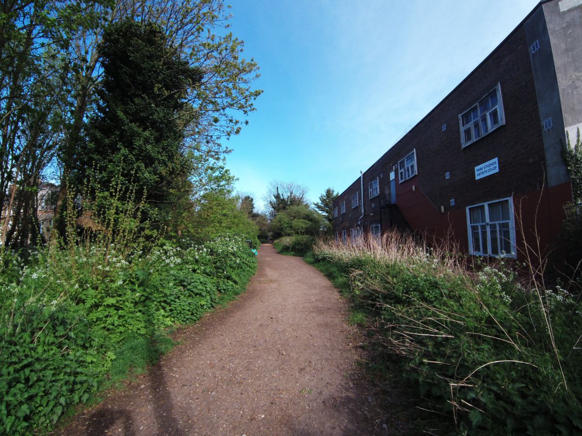 Factory next to a tree lined path
