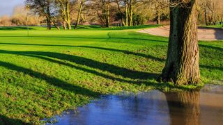A general view of a British golf-course green with a large puddle nearby