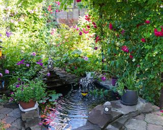 Decorative pond with fountain in garden with red roses