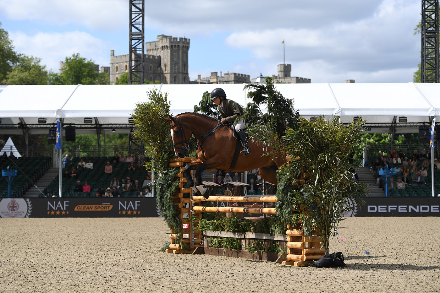 Alice-Homer_Little-Joe_RWHS_PN22_21944-2.jpg