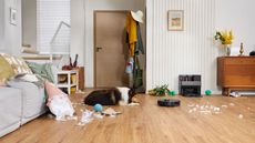 roborock s7 MaxV Ultra robot vacuum in a living room with a collie dog and feathers from a cushion over the floor