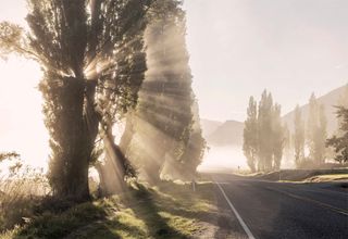 Make fog your friend
