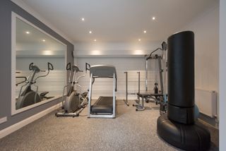 A general interior view of a home gym with various exercise machines