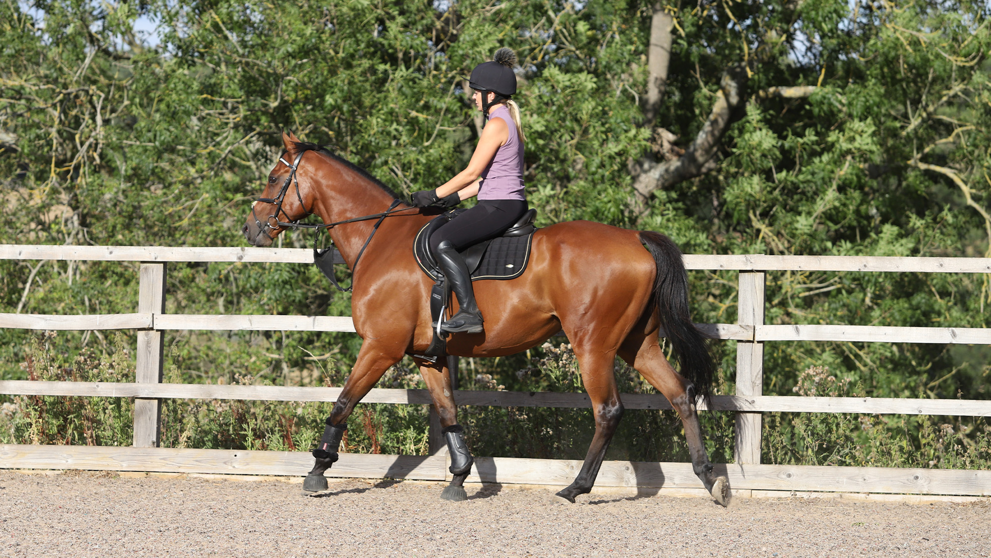 Woman on bay horse riding in school in walk on outside track by fence