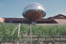 Ceretto 2016 Grape building