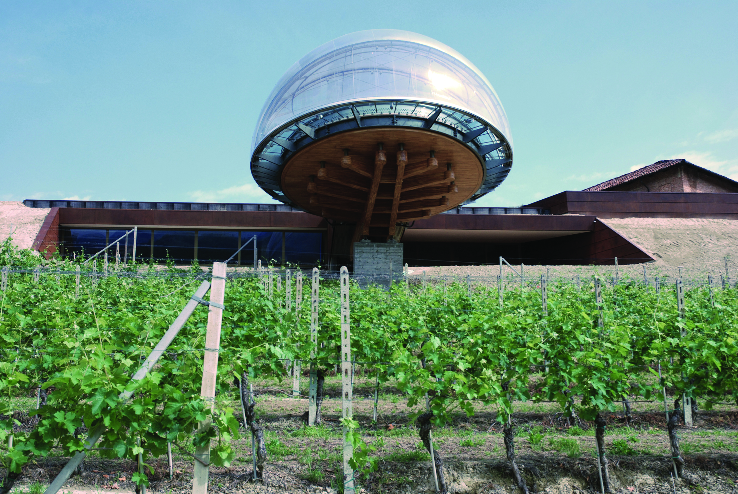 Ceretto 2016 Grape building