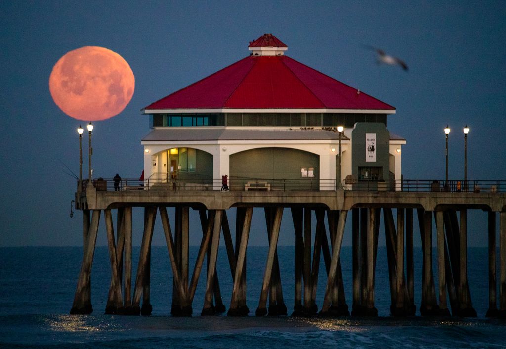 Pink Moon delights skywatchers around the world (April full moon 2023