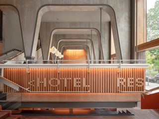 Timber interior with curvy ceiling at ace hotel toronto