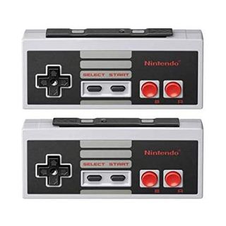 Best retro controllers; a photo of the NES controllers for Nintendo Switch