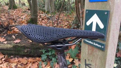 Image shows Fizik Antares adaptive saddle in the wild