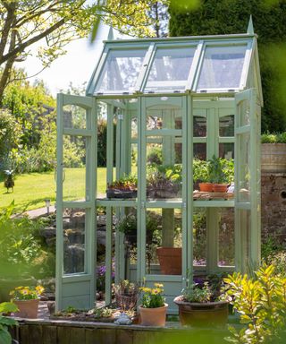 mini greenhouse painted in Sedge Green Thorndown Paints