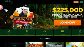 Wild Casino online