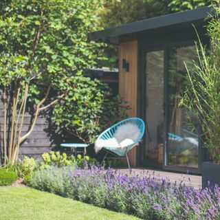 A garden office with glass doors and a seating area outside lined with lavender plants