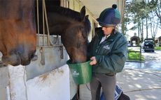 Feeding-the-horse_Feature_640x400
