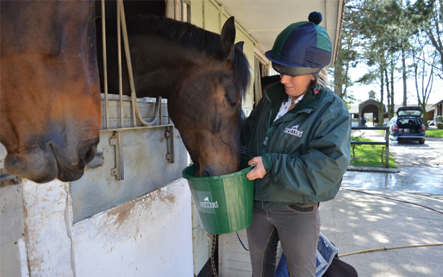 Feeding-the-horse_Feature_640x400