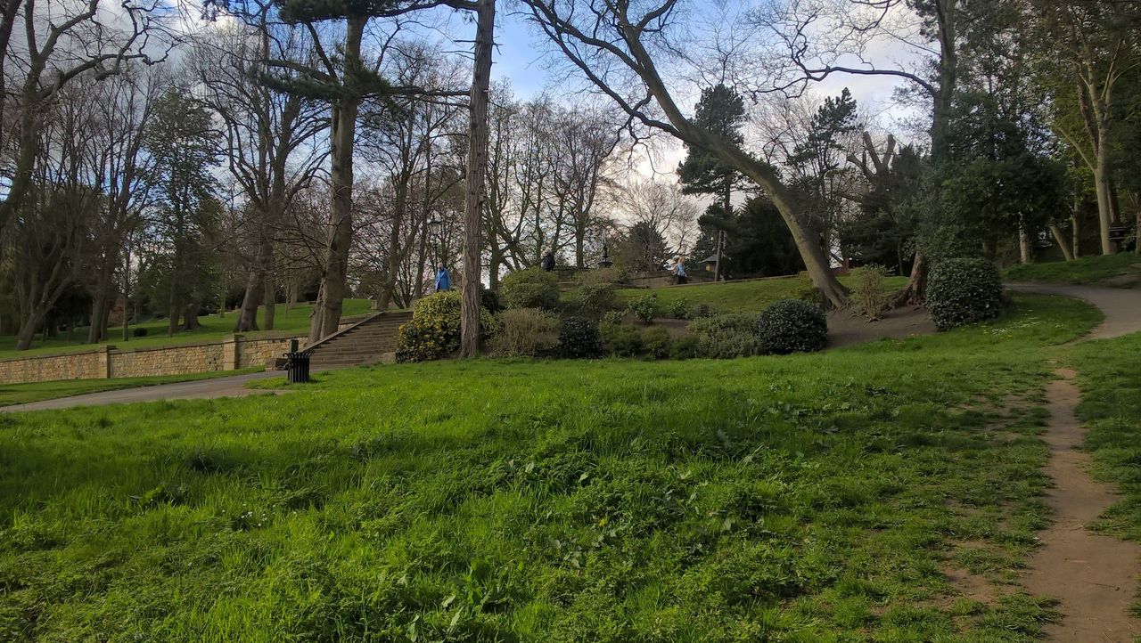 Lumia 640 rear camera test