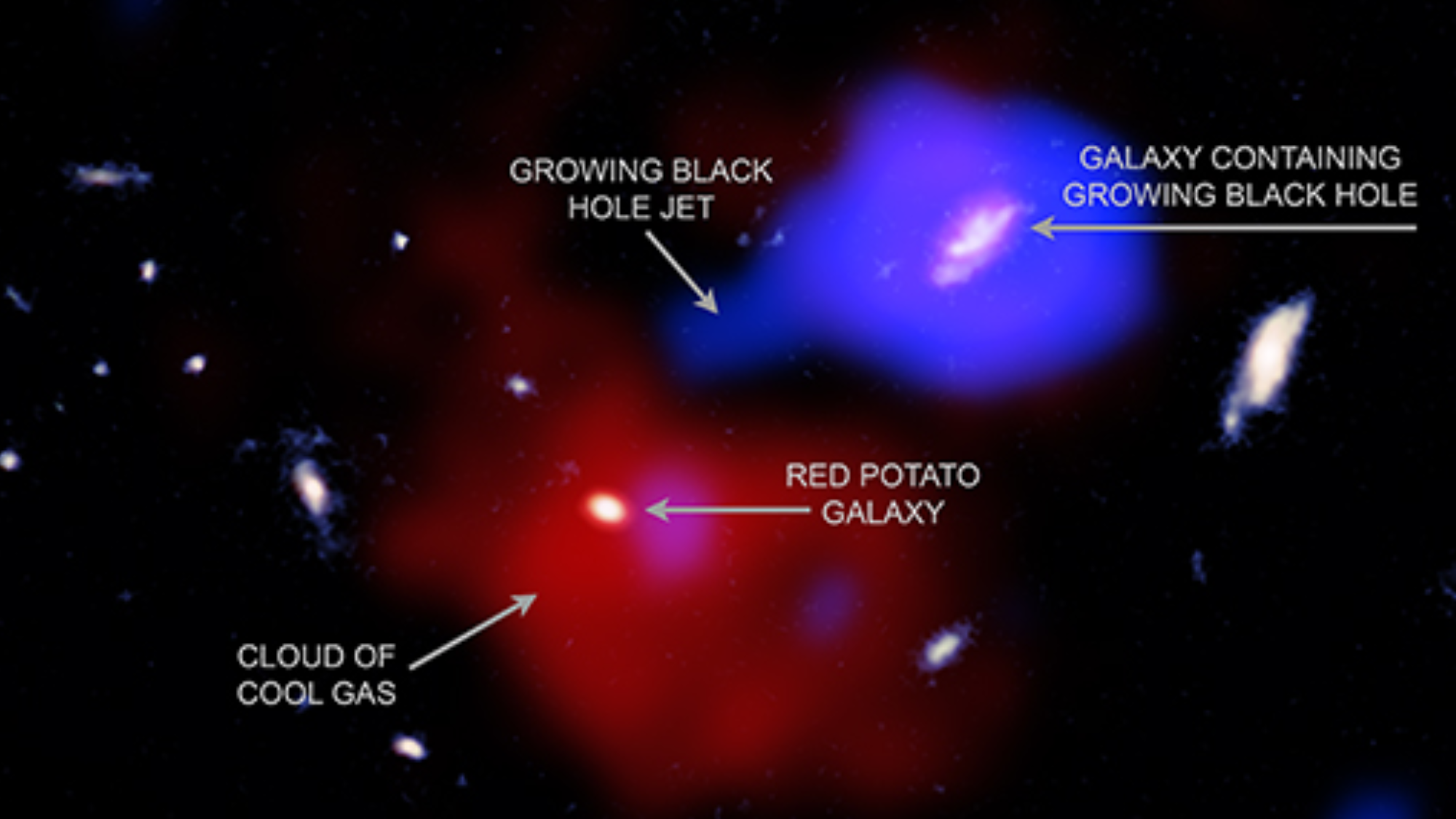X-ray spacecraft finds supermassive black hole stirring up the ‘red potato’ galaxy: ‘There may be a cook in this cosmic kitchen’ X-ray spacecraft finds supermassive black hole stirring up the ‘red potato’ galaxy: ‘There may be a cook in this cosmic kitchen’