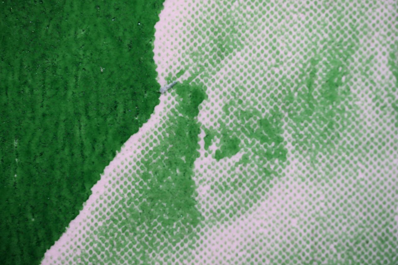 Laowa Aksen 5-10x Ultra Macro APO sample image