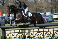 HorseNo358_Belton15pn_8065.jpg