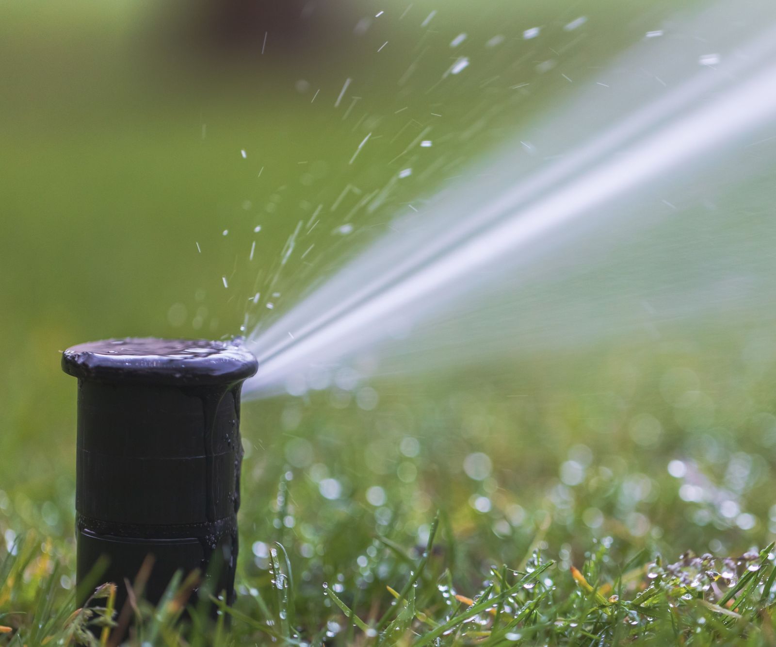 When to start watering a lawn in spring to get healthy grass | Homes ...