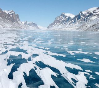 Baffin Island is the world's fifth largest island.