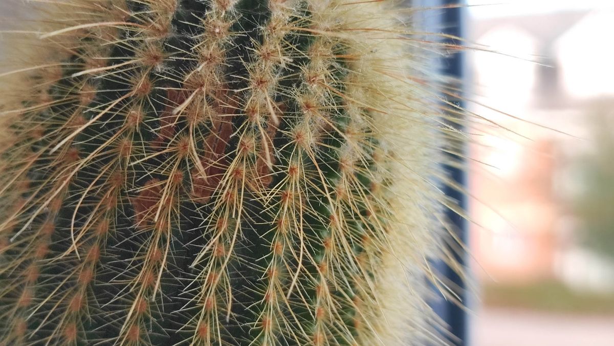 Xiaomi 11T Pro review