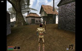 A screenshot taken from Morrowind