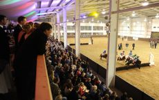 Spectators at Bury Farm Equestrian Village