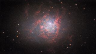 A new image of the dwarf galaxy NGC 1705 snapped by the Hubble Space Telescope.