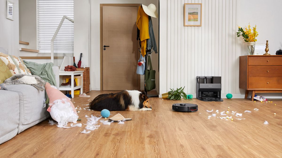 The Roborock S7 MaxV Ultra cleaning hard floors in a lounge with a dog looking at it