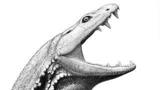artist impression of ancient predator crassigyrinus scoticus