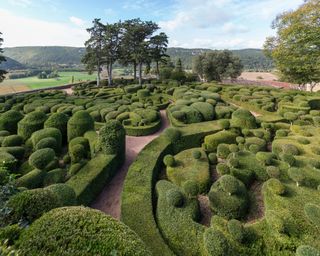 Topiary garden at Marqueyssac Chateau and Gardens, Vezac, Dordogne, France