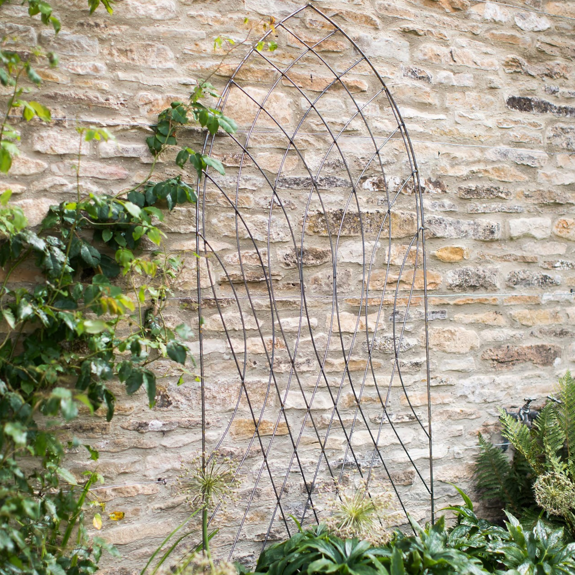 garden trading trellis with climbing plants on a brick wall