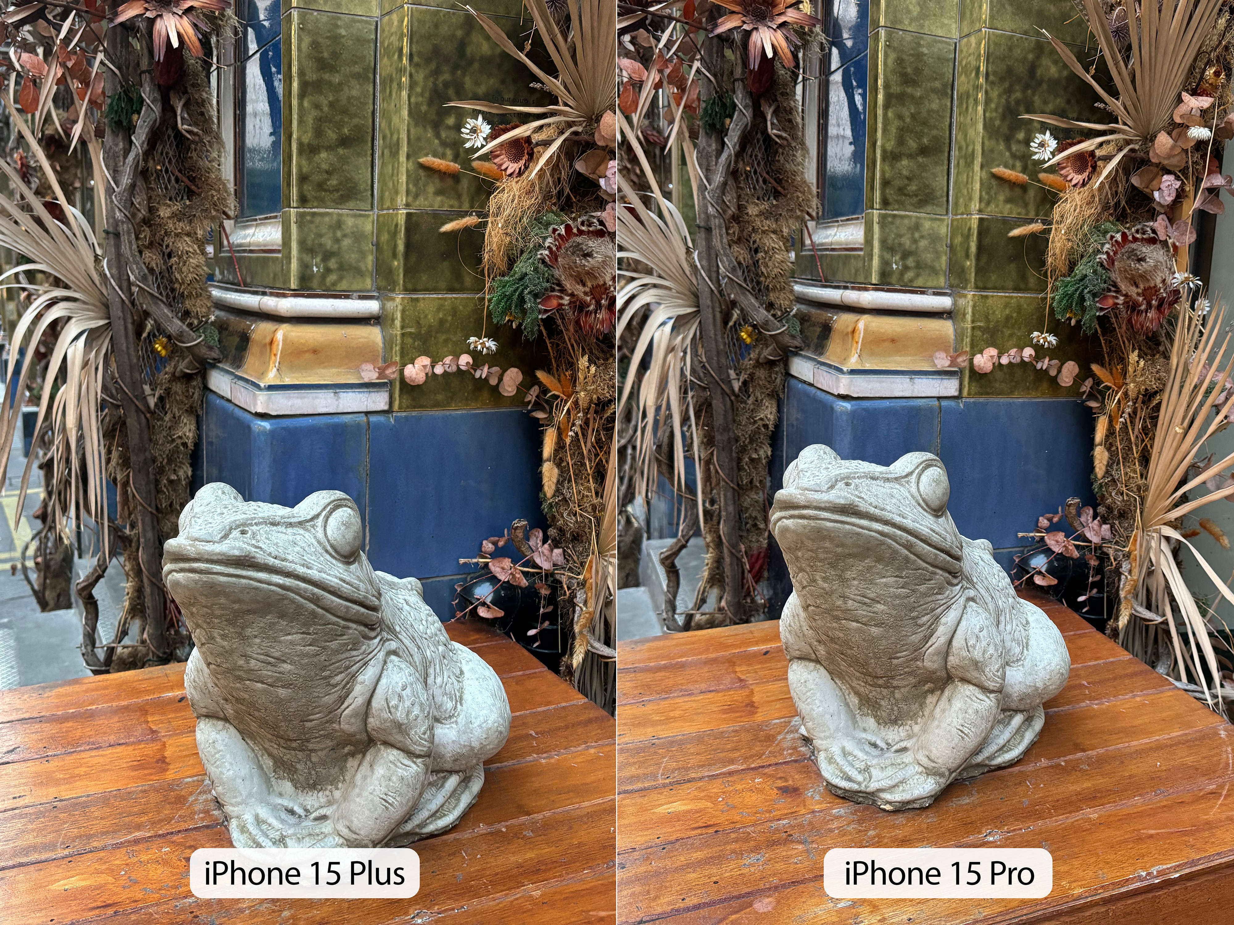 iPhone 15 Pro camera sample frog vs 15 Plus