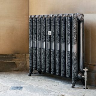 Traditional radiator in living room