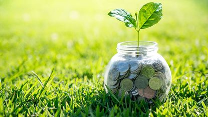 Seedling growing out of a jar of coins