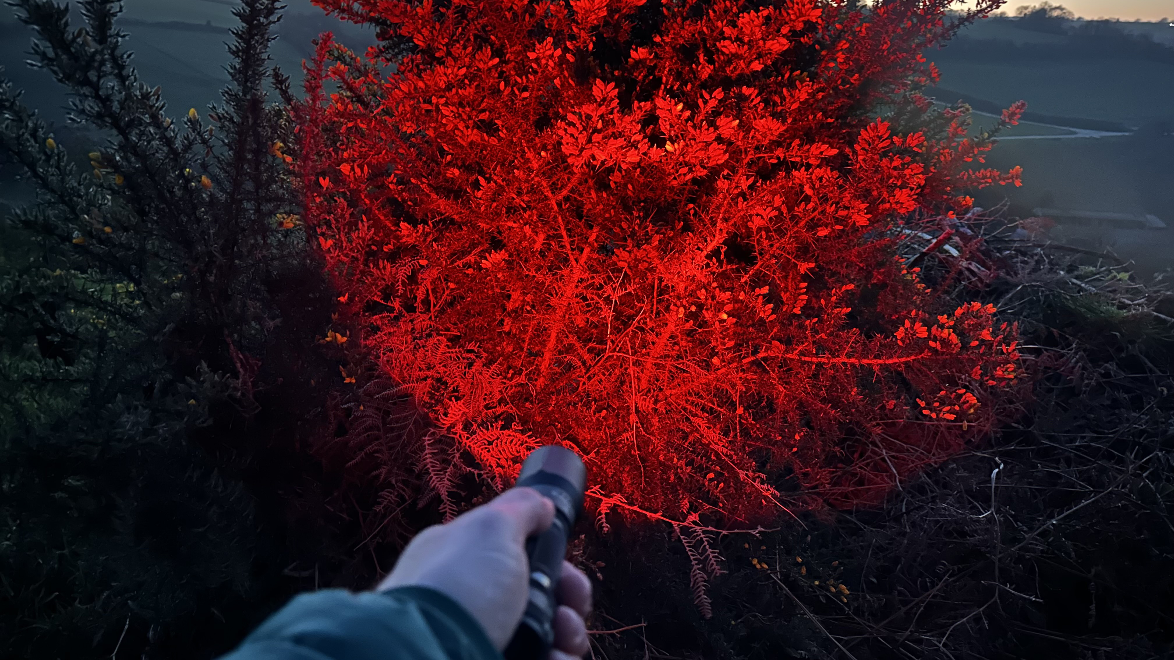 Ledlenser TT3R set to red beam 